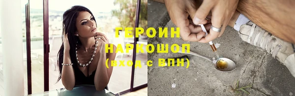 сатива Коряжма