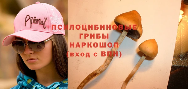 таблы Костерёво