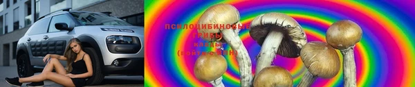 сатива Коряжма