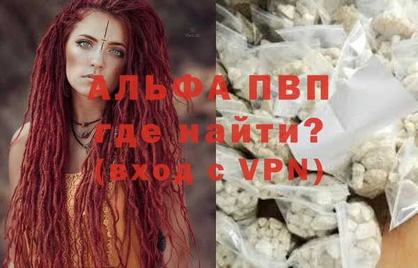сатива Коряжма