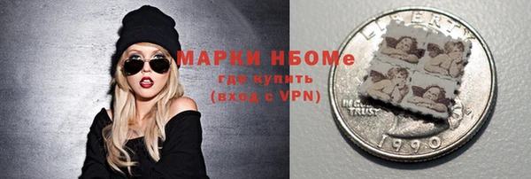 сатива Коряжма